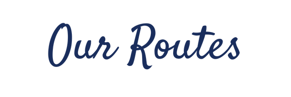 About us removebg preview